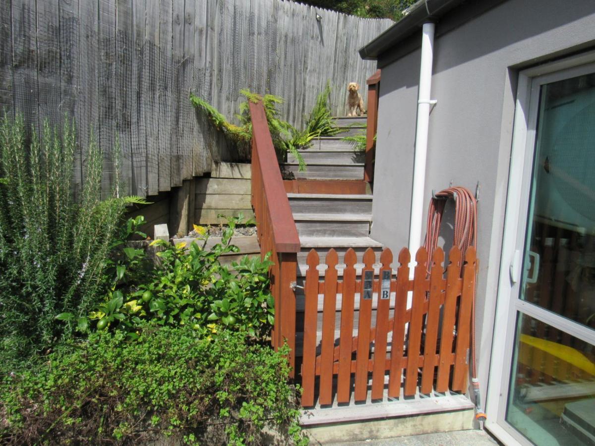 Guest house Castor Bay Auckland