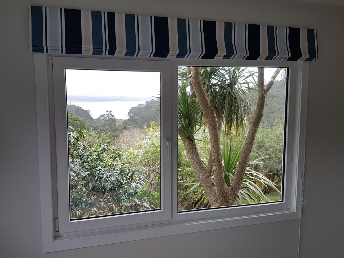 Fernglen * Auckland