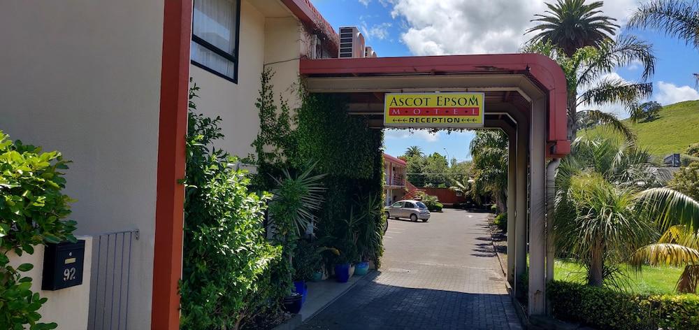 Ascot Epsom Auckland