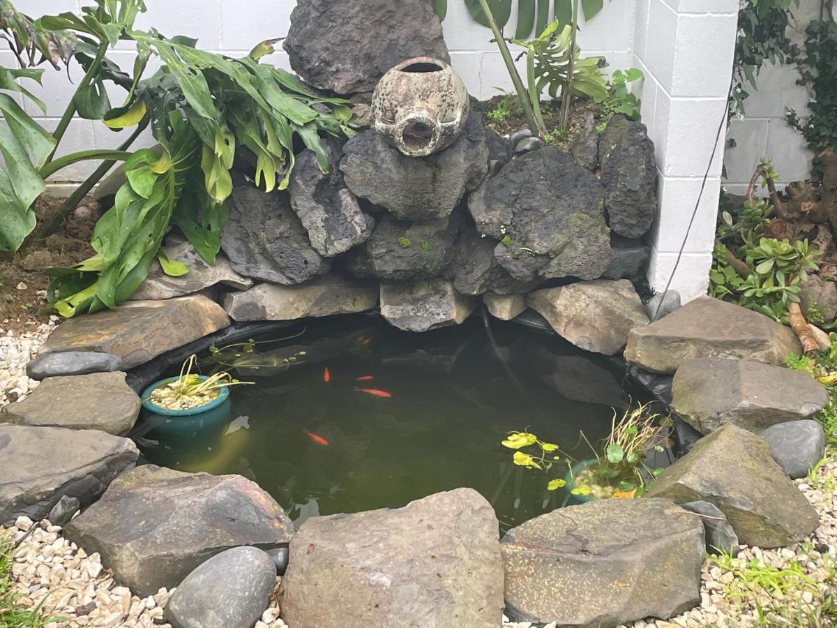 Apartment Your In Cockle Bay Auckland