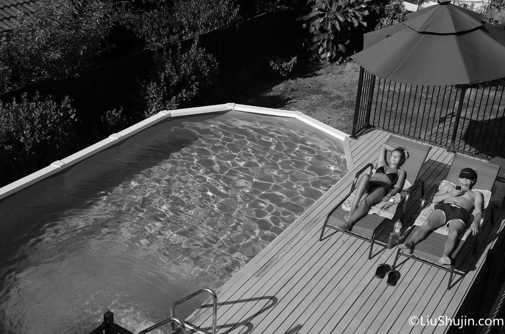 Swimming Pool Homestay Auckland