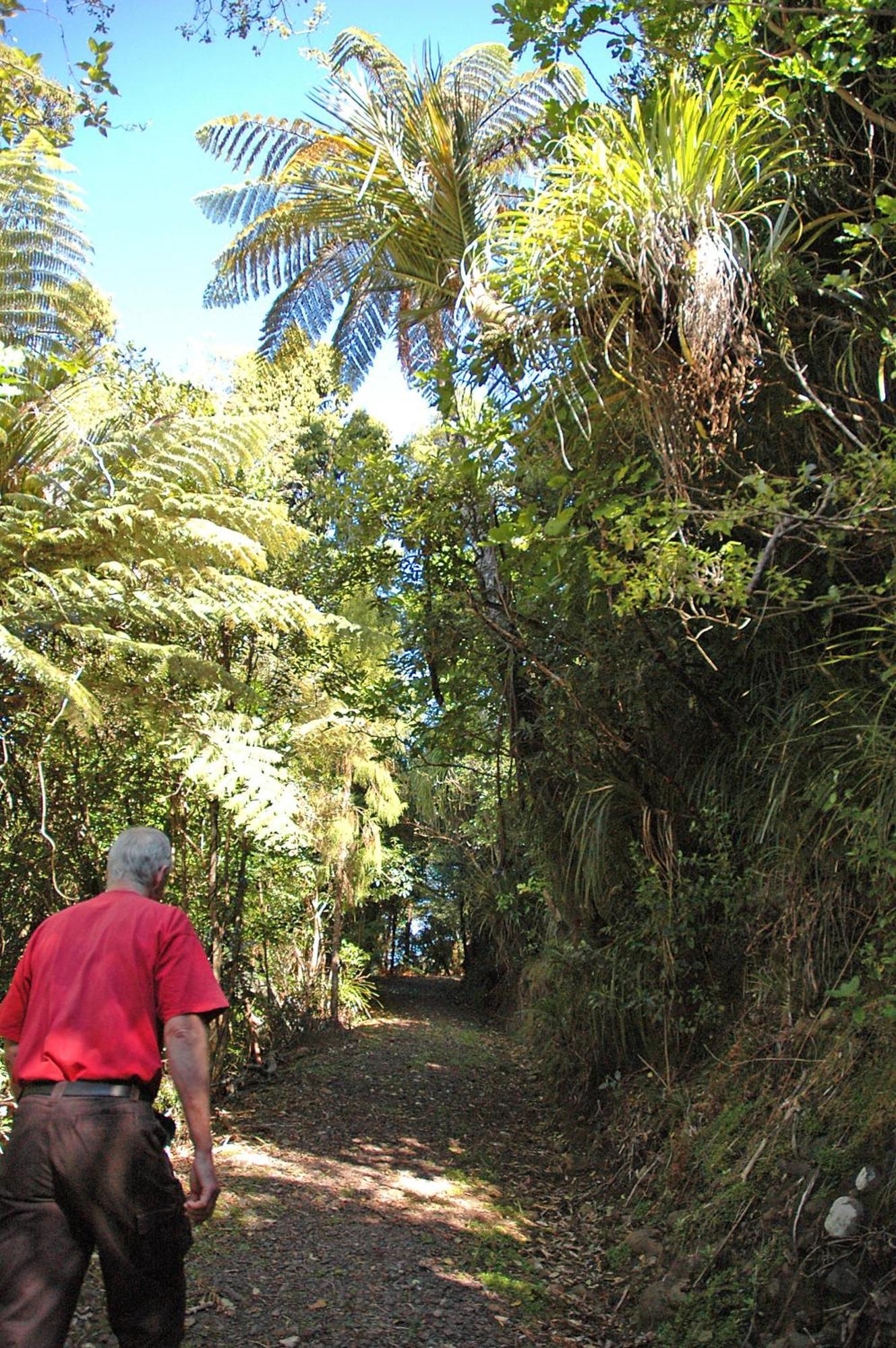 Hotel Waitakere & Auckland