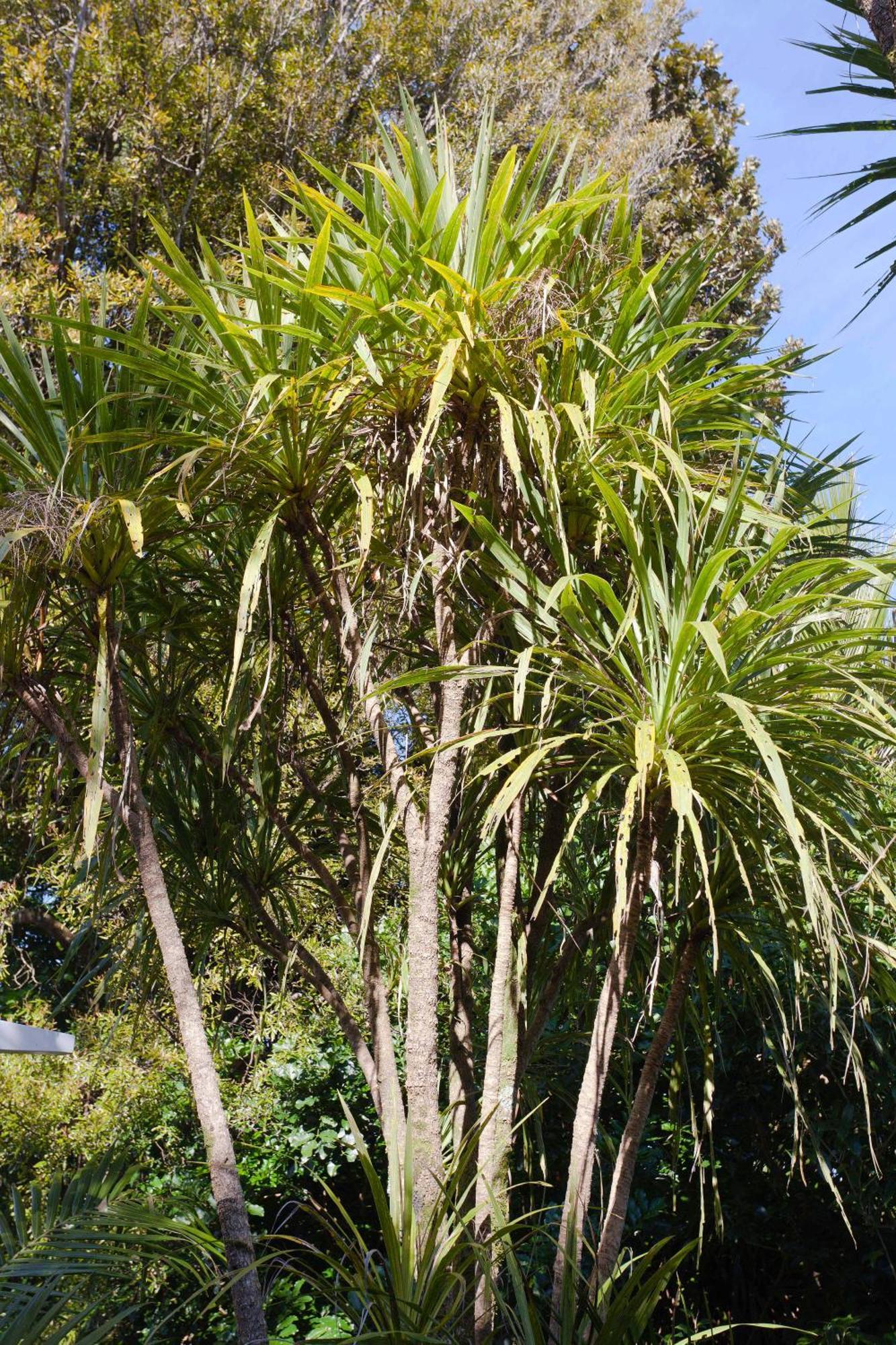 Hotel Waitakere & Auckland