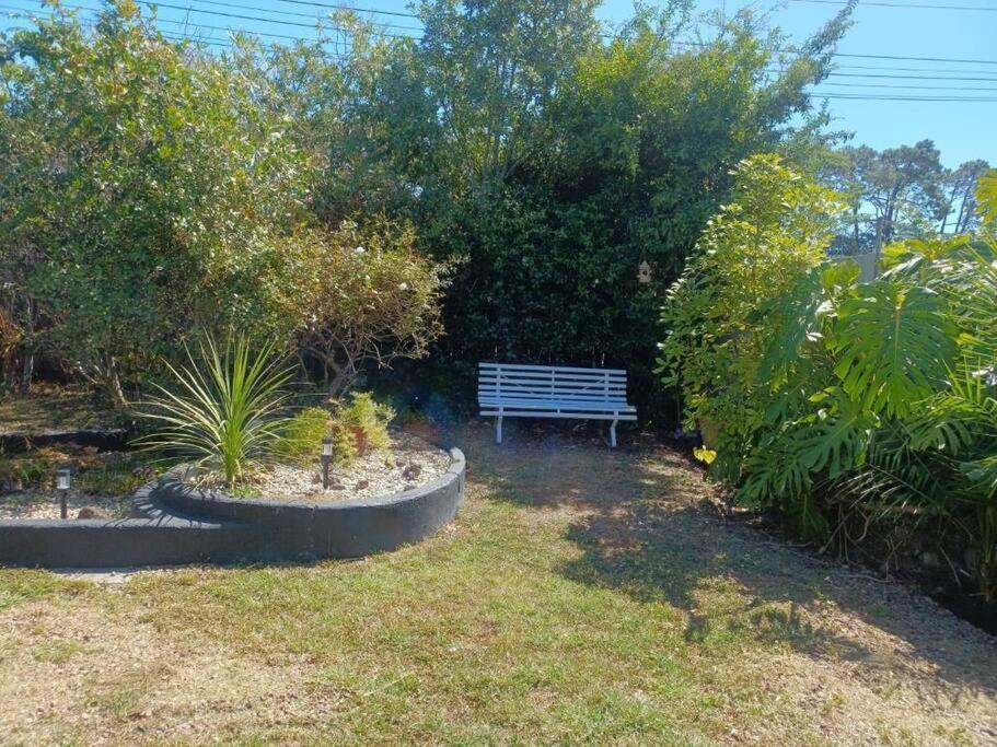 Cosy In New Lynn * Auckland