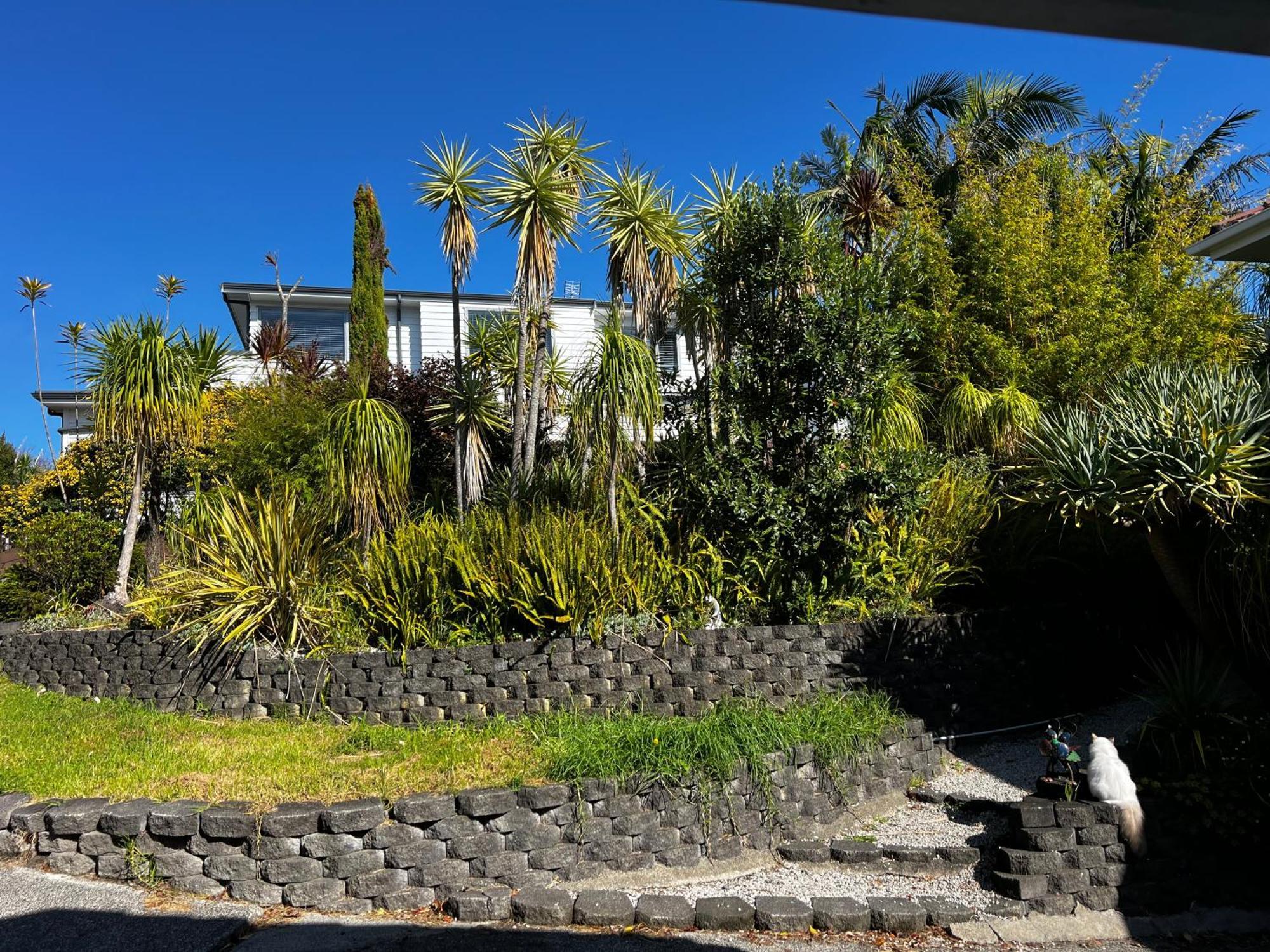 Waiake Apartamento Auckland