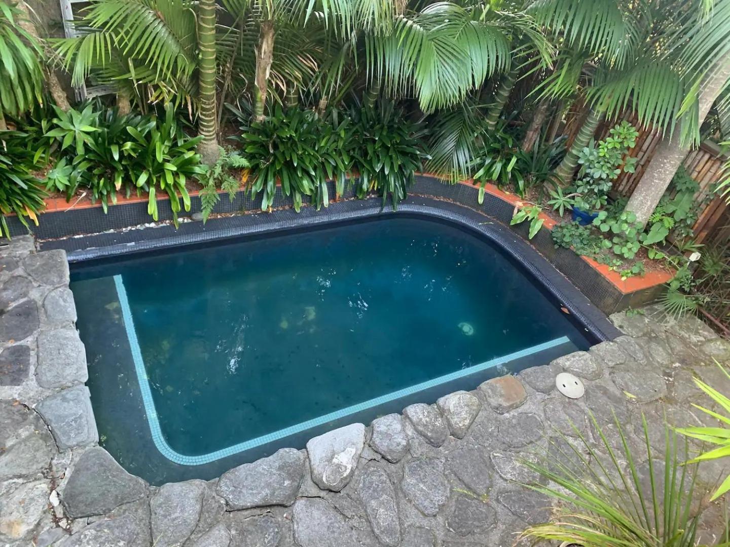 Springfield Guest house Auckland
