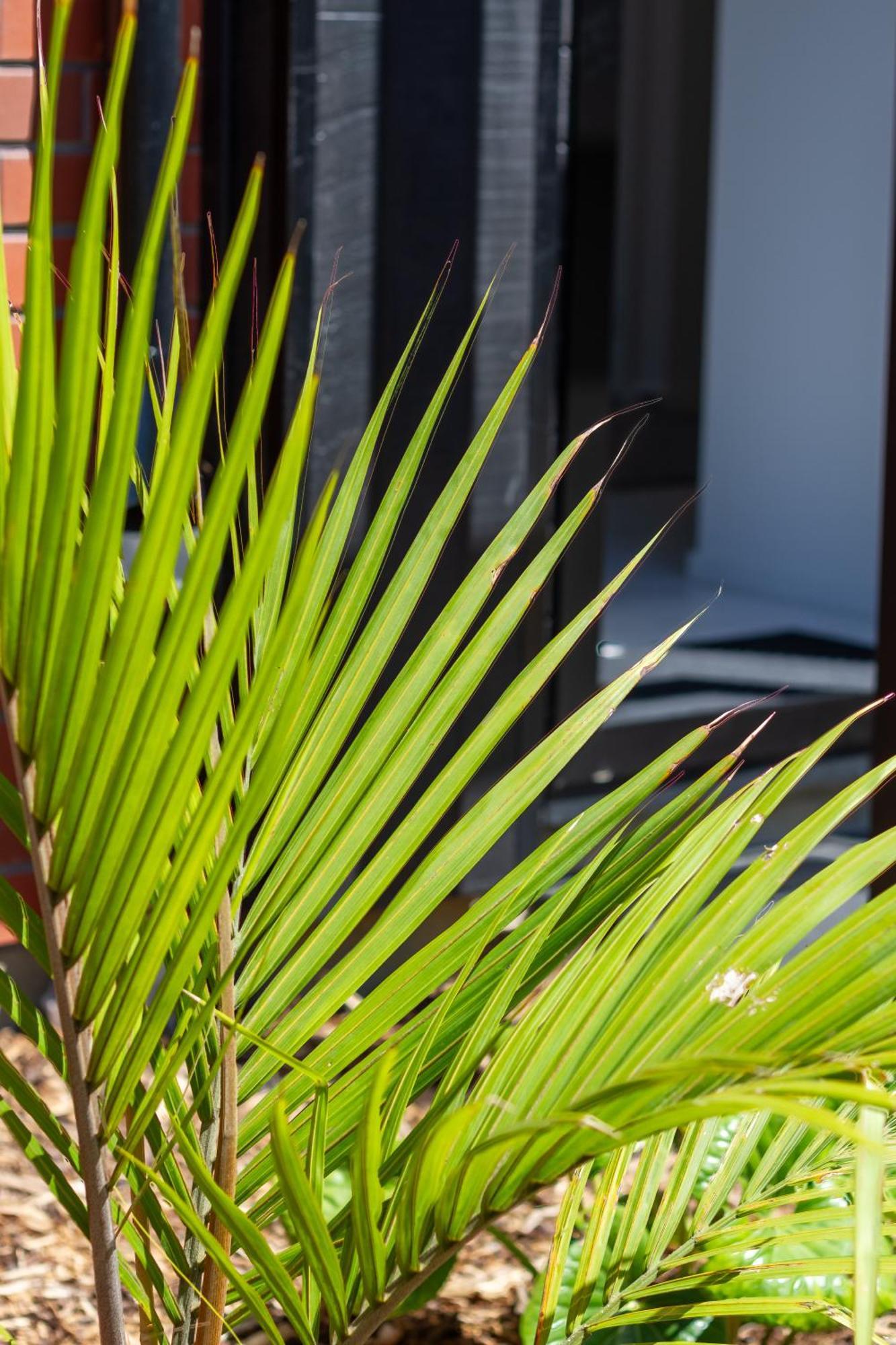 Conveniently Located 2br Townhouse In West Akl Apartment Auckland