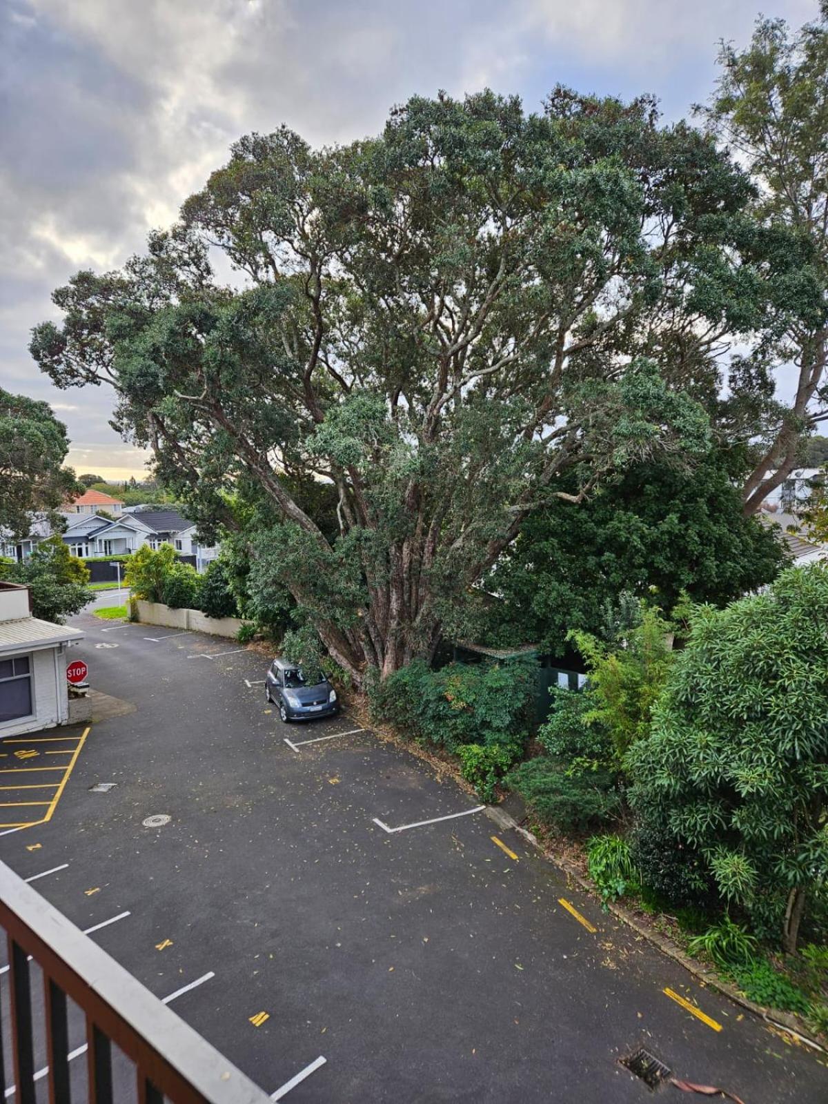 Cute Comfortable, Quiet 11 With Carpark Apartment Auckland
