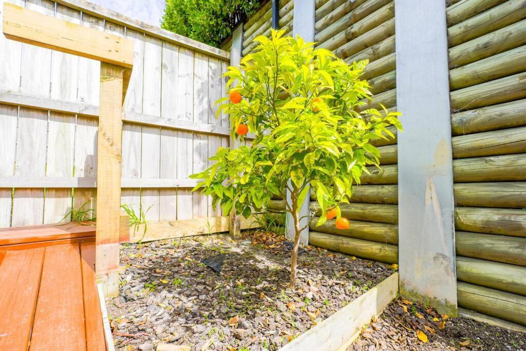 Your Retreat In Long Bay Auckland