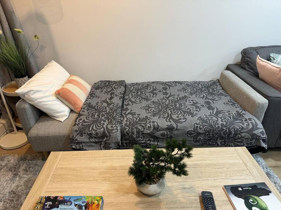 Stunning 3 Bd 2 Bth Pool And Carpark
