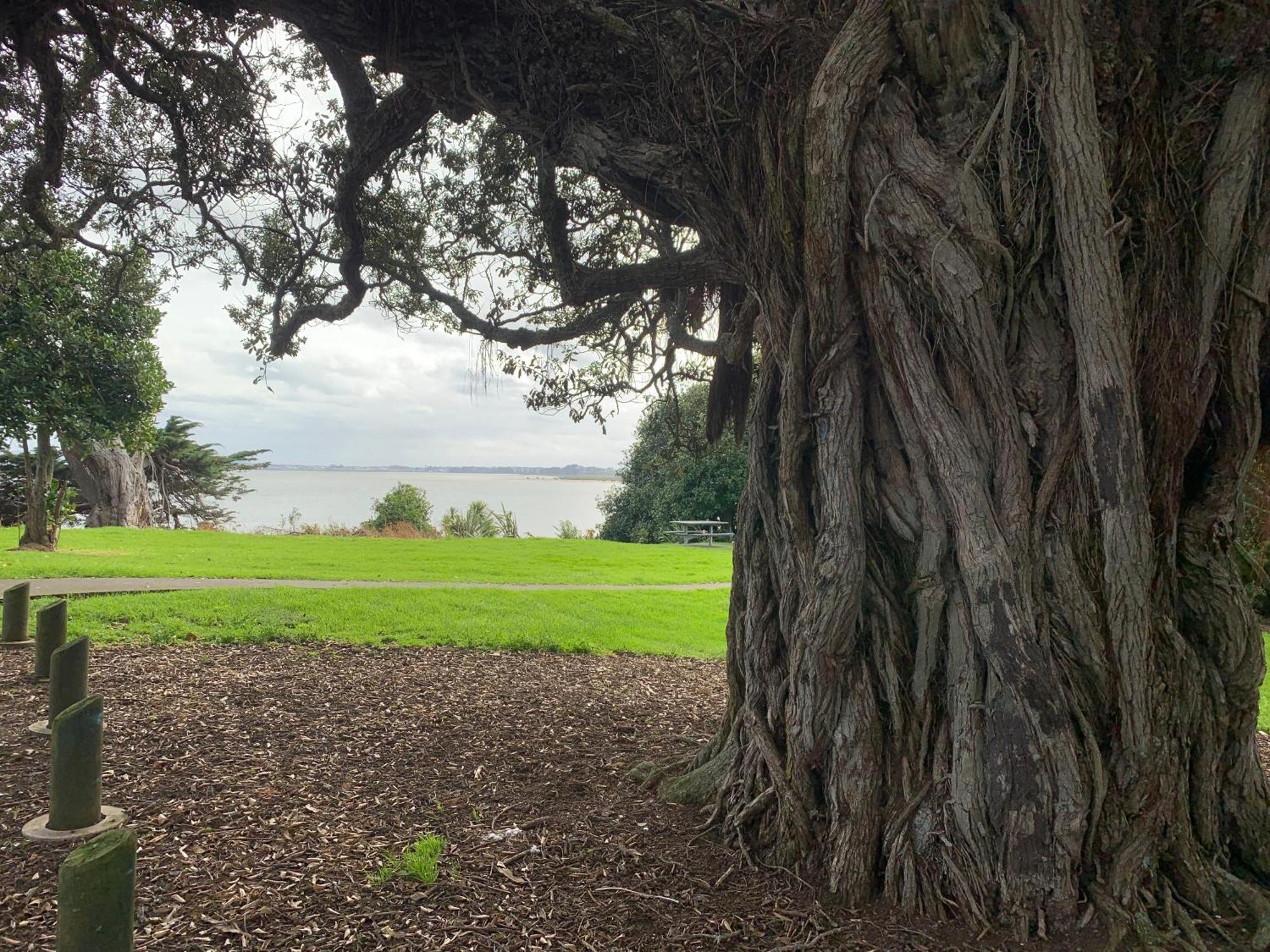 Weymouth Oasis * Auckland