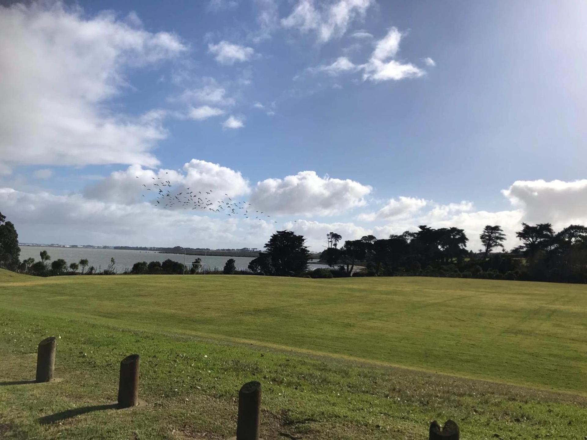 Weymouth Oasis * Auckland