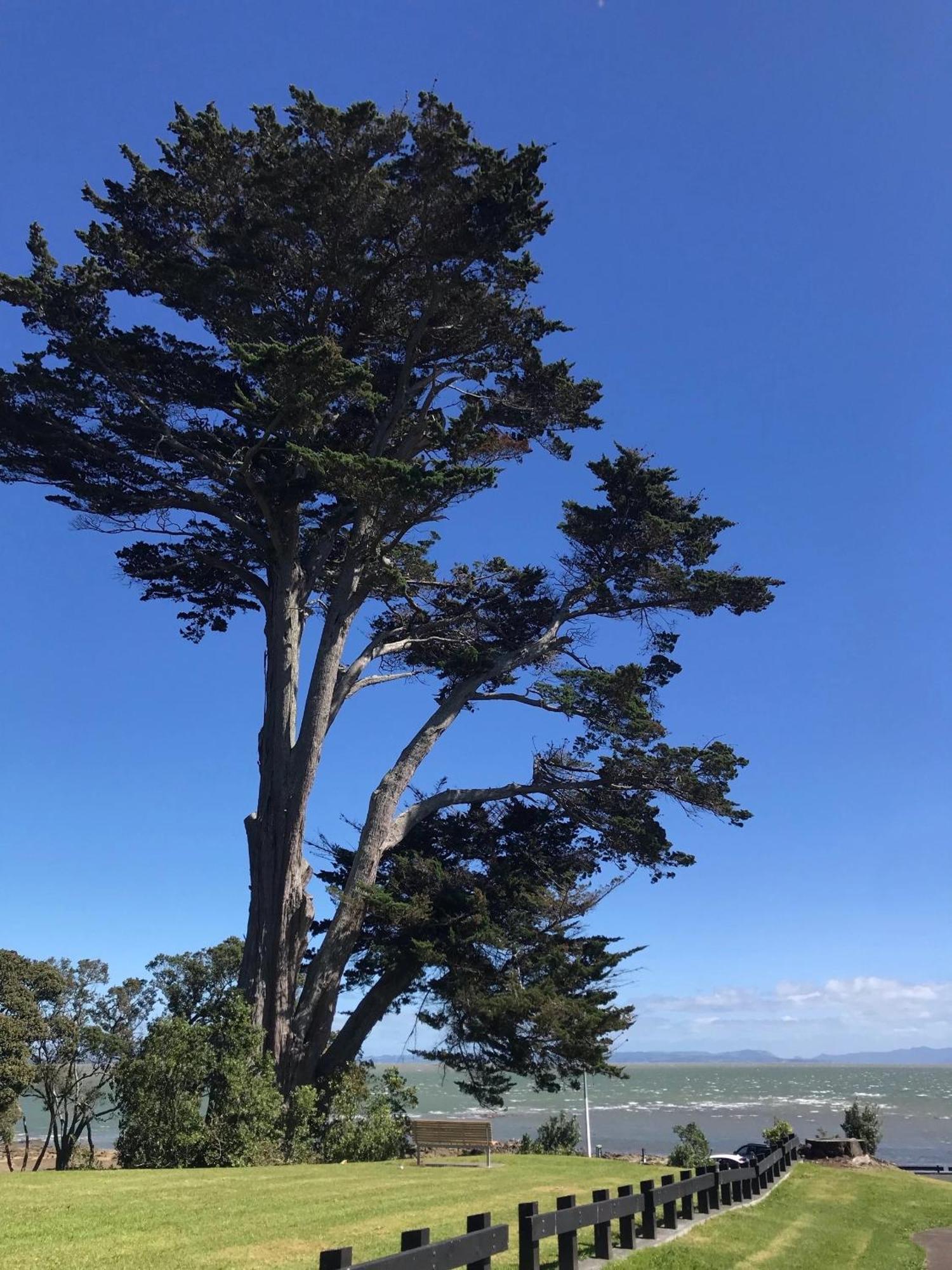 Weymouth Oasis Guest house Auckland