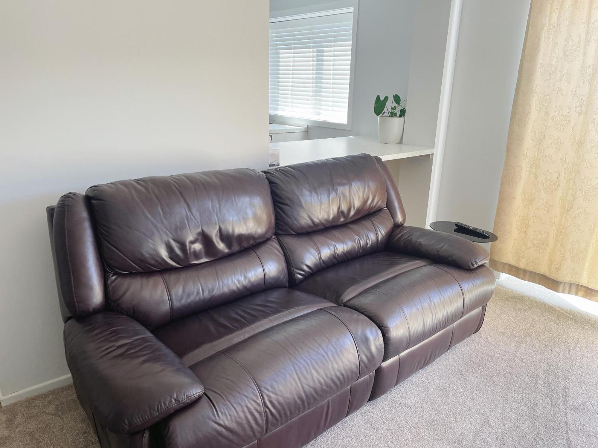 Living Oasis Auckland