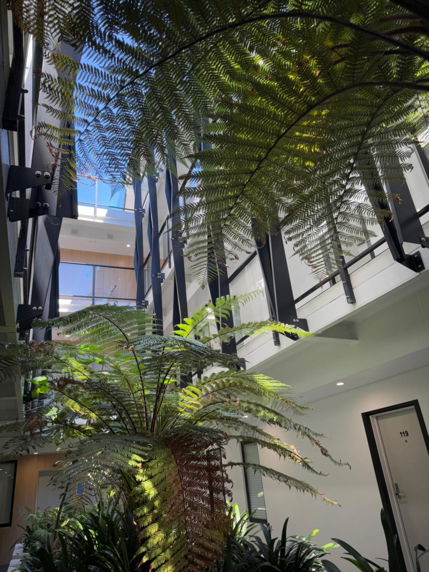 Epsom Retreat 2b With Balcony Free Parking
