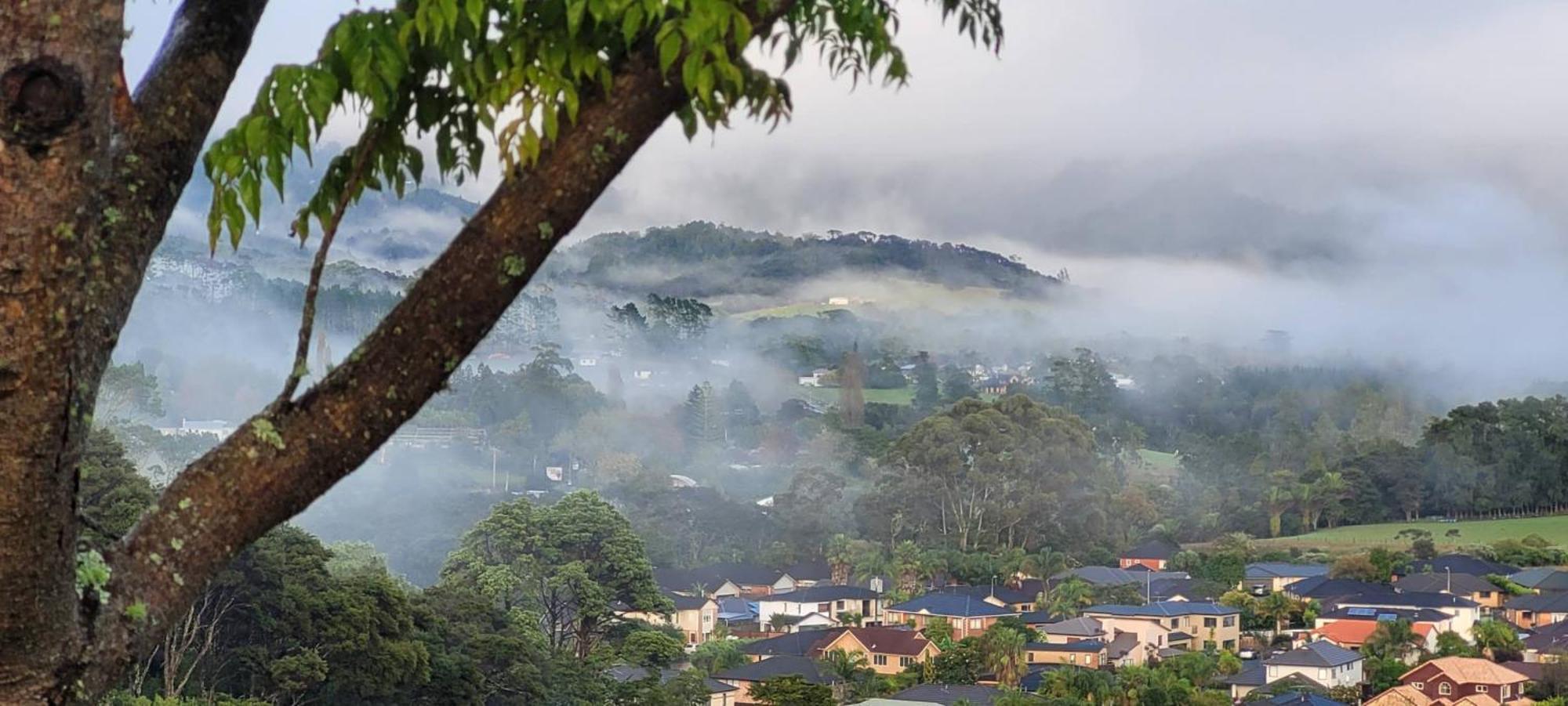 Elevated Family Sized Guest-House With Beautiful Views Guest house *