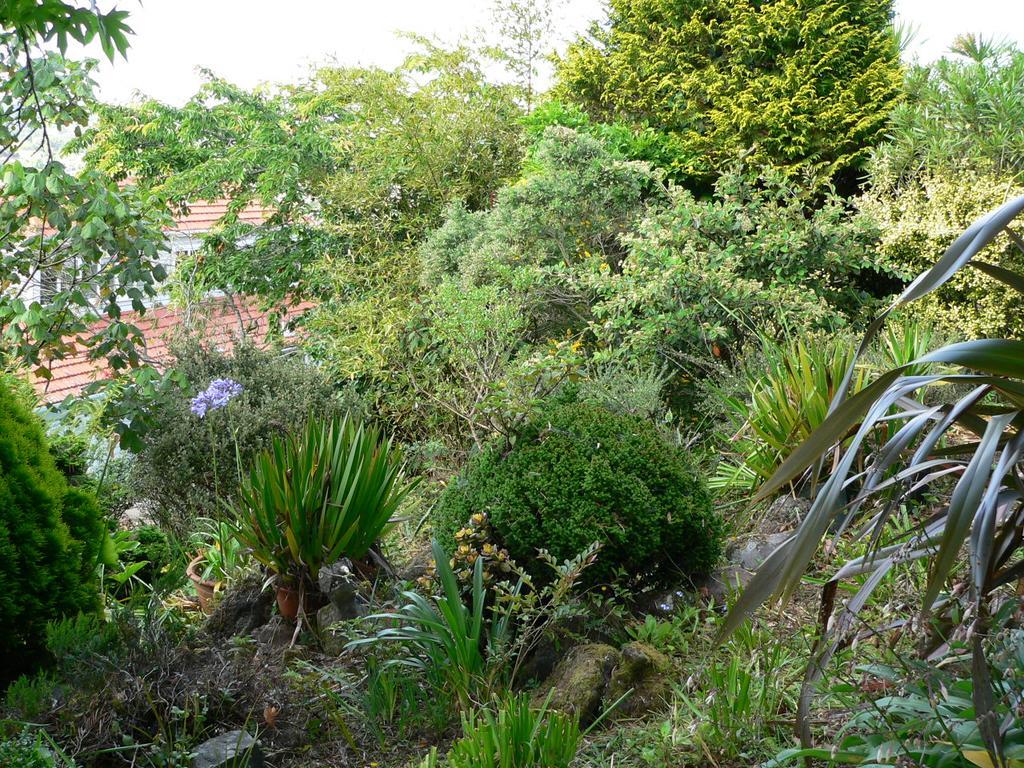 Mount Hobson