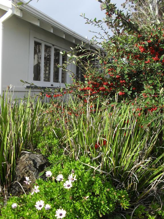 Wisteria Studio Guest house *