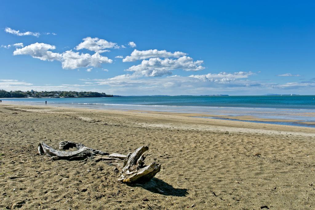 Takapuna Hauraki Modern Guest house 5*