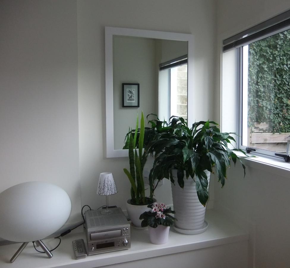 Guest house Tui Studio *