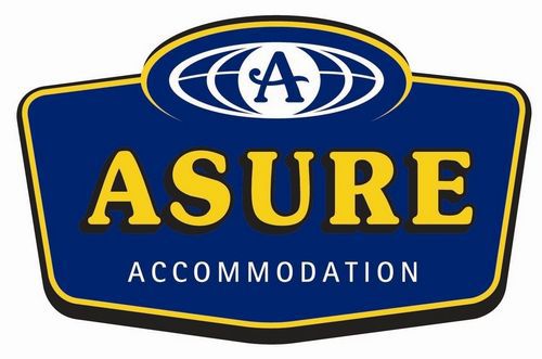 Asure Camelot Arms Motor
