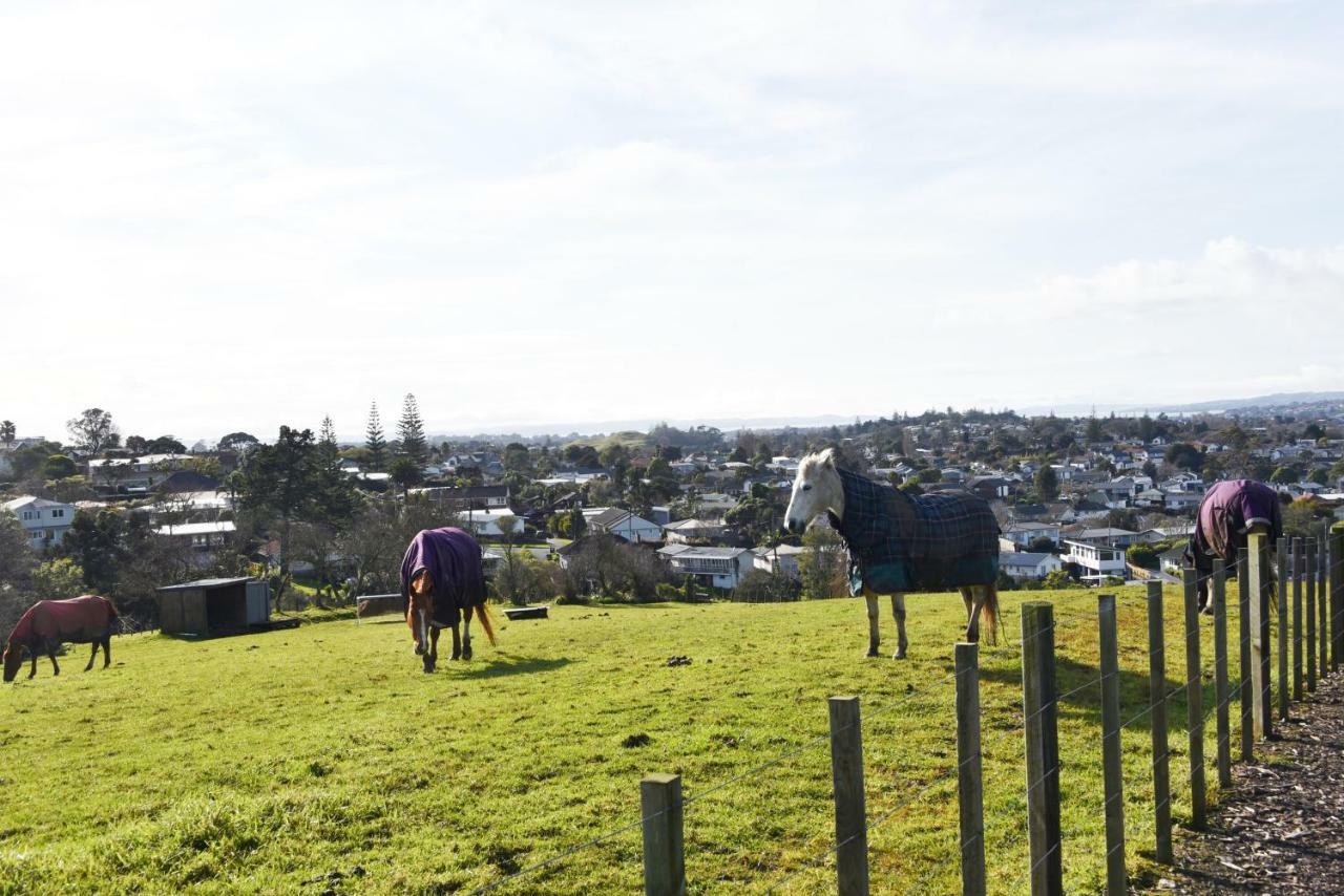 Regal Residency 4* Auckland