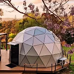 Stellar Glamping Auckland