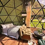 Stellar Glamping Auckland