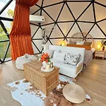 Stellar Glamping Auckland
