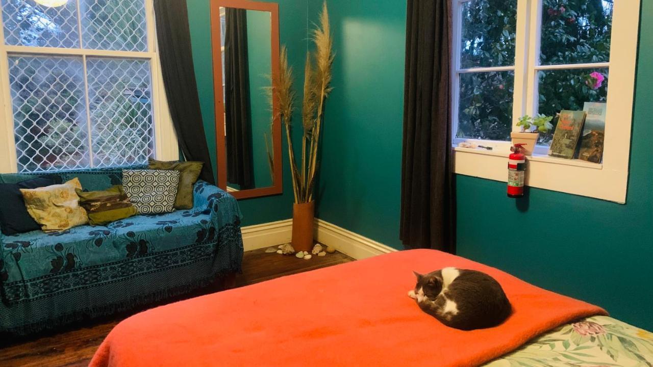 Hostel Fat Cat Eco Hostel *