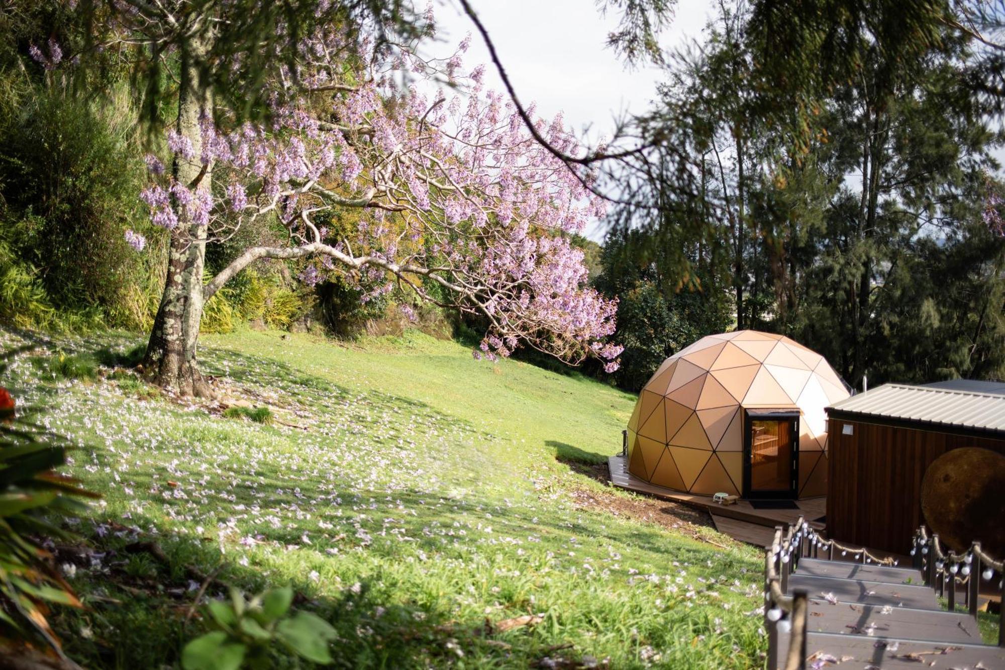 Stellar Glamping Auckland