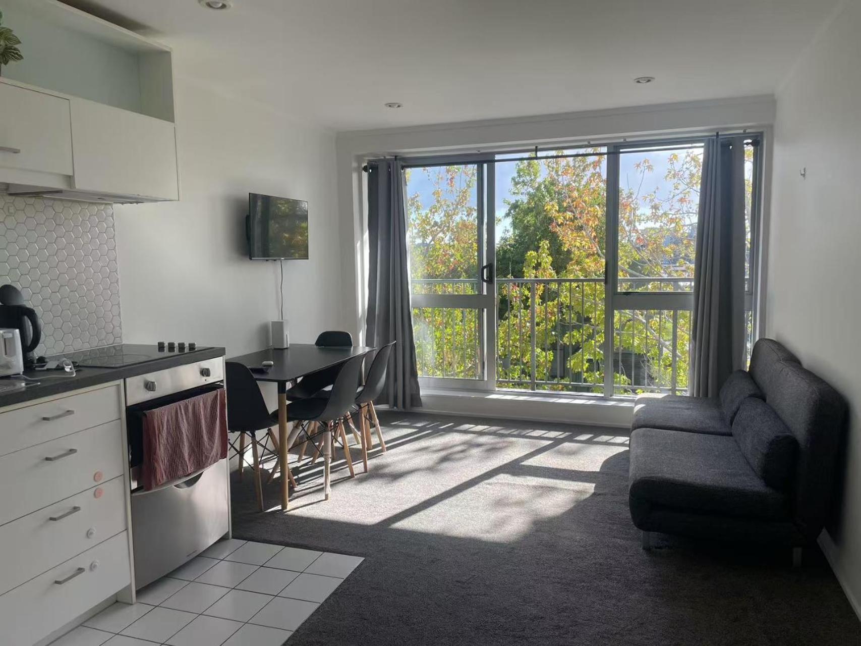 Arthur House 2 Bedrooms Balcony Good View Parking Wifi Auckland