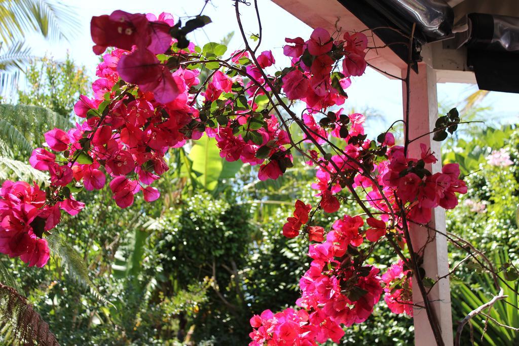 Peace And Plenty Bed & Breakfast Auckland