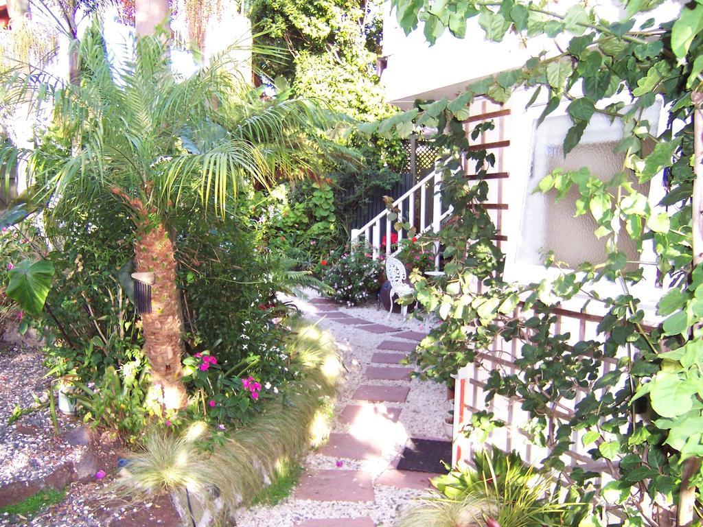 Bed & Breakfast Peace And Plenty Auckland