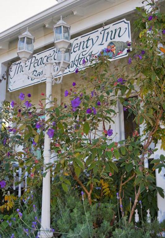 Bed & Breakfast Peace And Plenty 5*