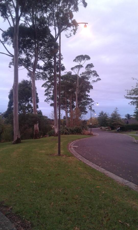Mansion Of Love Bed & Breakfast Auckland