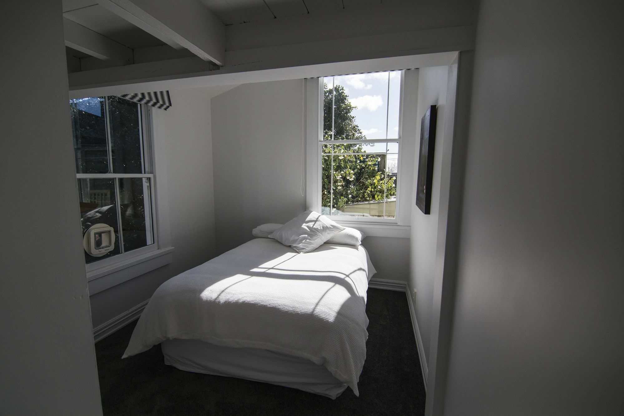 Spacious And Charming Grey Lynn Auckland